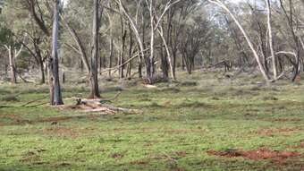 Farm Property for Sale - 1153 Middle Creek Road Langlo QLD 4470