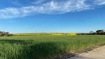 Farm Property for Sale - . Stent Road Pingaring WA 6357