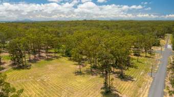 Farm Property for Sale - Various Lo Inches Rd Verges Creek NSW 2440
