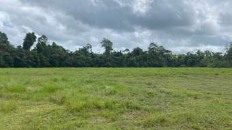 Farm Property for Sale - Utchee Creek QLD 4871