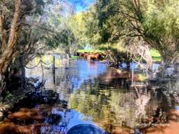 Farm Property for Sale - 271 Mayfield Road (Beermullah) Gingin WA 6503