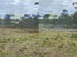 Farm Property for Sale - 33 Little Road Westwood QLD 4702