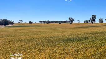 Farm Property for Sale - 1497 Pallinup Road Broomehill East WA 6318