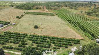 Farm Property for Sale - 336 Fichera Road Mareeba QLD 4880