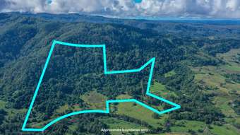 Farm Property for Sale - 16 Weismantel Road Nimbin NSW 2480