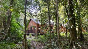 Farm Property for Sale - Lot 460 Black Bean Road Daintree QLD 4873