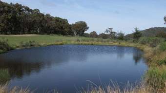 Farm Property for Sale - Part 692 Bald Ridge Road Bald Ridge NSW 2795