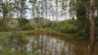 Farm Property for Sale - 154 Warrawillah Road Marlee NSW 2429