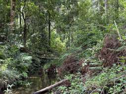 Farm Property for Sale - Comara NSW 2440