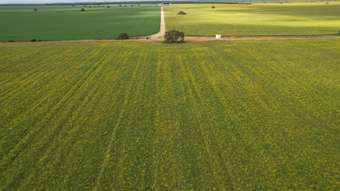 Farm Property for Sale - Minore, Rowes Road Moora WA 6510