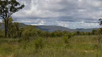 Farm Property for Sale - Dimbulah QLD 4872