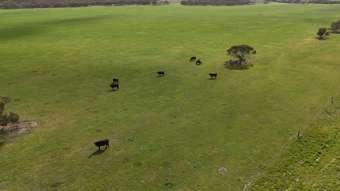 Farm Property for Sale - 2182 Parrakie South Road Parrakie SA 5301