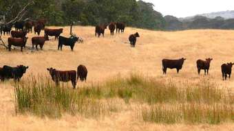 Farm Property for Sale - * Merivale Rd Esperance WA 6450