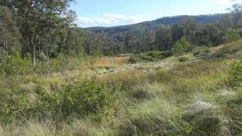 Farm Property for Sale - 3 Hills Gate Forest Road Upper Tooloom NSW 2475