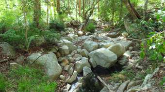 Farm Property for Sale - Lot 162 Bellthorpe Road Conondale QLD 4552