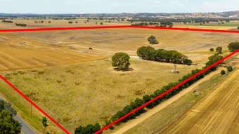 Farm Property for Sale -  Jude Road Howlong NSW 2643