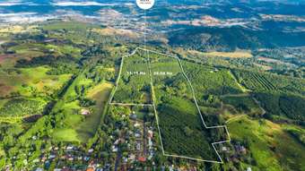 Farm Property for Sale - 181 Munro Road Dunoon NSW 2480