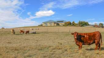 Farm Property for Sale - 1525 Trunkey Road Georges Plains NSW 2795