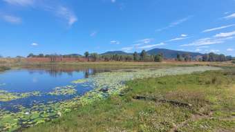 Farm Property for Sale - Lot 2 Ironbark Ridge Road Bauple QLD 4650