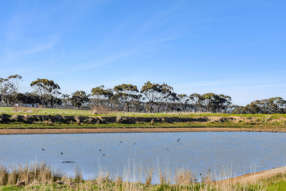 2125 Barrabool Road Mount Moriac VIC 3240