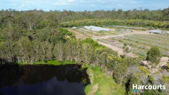 Farm Property for Sale - 30428 Bruce Highway Isis Central QLD 4660