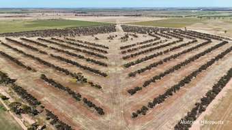 Farm Property for Sale - Lot 57 Snell Road Nangeenan WA 6414