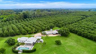 Farm Property for Sale - 29 Shaws Lane Tuckombil NSW 2477