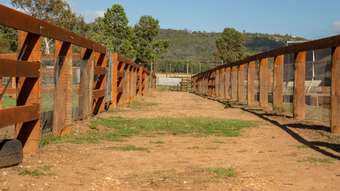 Farm Property for Sale - 167 Mooki Springs Road Pine Ridge NSW 2343