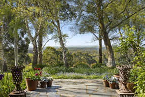 Farm Property for Sale - 60 Dolphins Road Musk VIC 3461