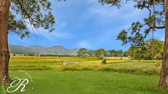 Farm Property for Sale - 68 Philip Street Gloucester NSW 2422