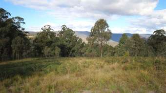 Farm Property for Sale - 992 Timbarra Road Tenterfield NSW 2372