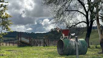 Farm Property for Sale - 234 Taradale Road Tumbarumba NSW 2653