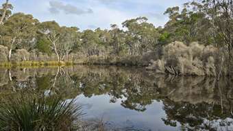 Farm Property for Sale - 1240 Boro Road Mayfield NSW 2580