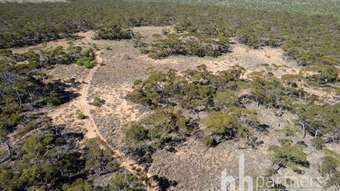 Farm Property for Sale - Section 20 Murraylands Road Black Hill SA 5353