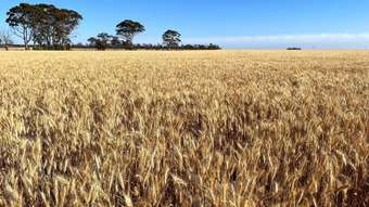 Farm Property for Sale - 12224 Goldfields Road Baandee WA 6412