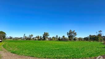 Farm Property for Sale - 174 Alma Street Wee Waa NSW 2388