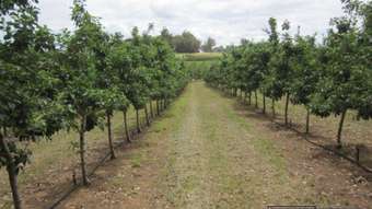 Farm Property for Sale - 275 Springall Road Deanmill WA 6258