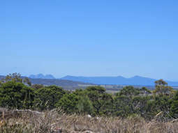 4560 Tasman Highway Swansea TAS 7190