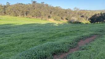 Farm Property for Sale - 29 Refractory Road Clackline WA 6564