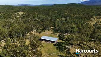 Farm Property for Sale - Lot 38 TENNINGERING ROAD Good Night QLD 4671