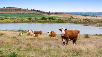 Farm Property for Sale - 296 Barr Road Clontarf QLD 4357