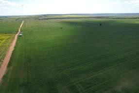 Farm Property for Sale - Tenindewa Williamson Road Mullewa WA 6630