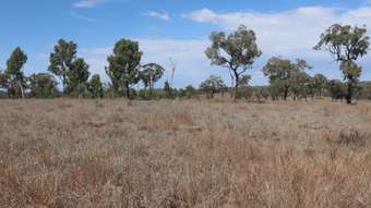 Farm Property for Sale -  Kirar Weir Road Eidsvold QLD 4627