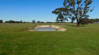 Farm Property for Sale - 693 Bangham Road Bangham SA 5268