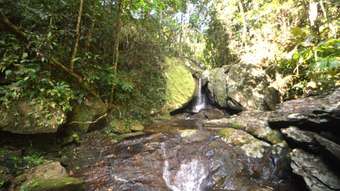 Farm Property for Sale - 41 Waterfall Place Jubilee Heights QLD 4860