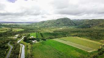 Farm Property for Sale - 8 Kippen Drive Arriga QLD 4880