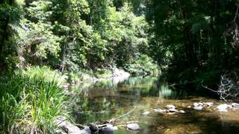 Farm Property for Sale - 3566 Kalang Road Kalang Bellingen NSW 2454