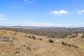 1884 Lower Lewis Ponds Road Ophir NSW 2800