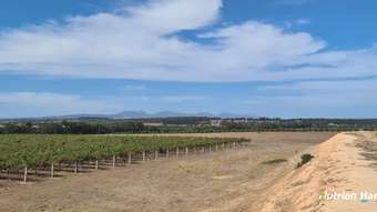 Farm Property for Sale - 267 Spencer Road Narrikup WA 6326