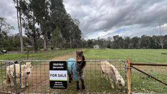 Farm Property for Sale - 68 Higgins Road Gidgegannup WA 6083